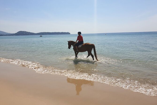 Beach Horse Riding Activity in Phuket - Getting the Most Out of Your Ride