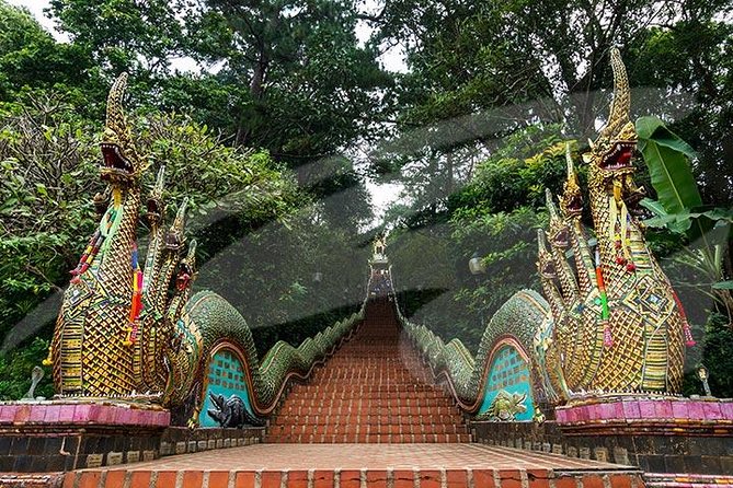 Chiang Mai City and Temples Half-Day Tour Review - Pricing and Booking Information