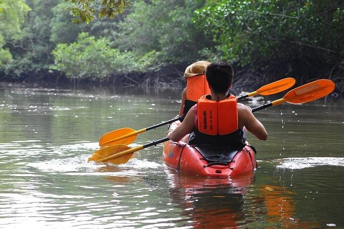 Deep Mangrove and Canyon Kayak Tour in Krabi Review - Is This Tour Worth Booking