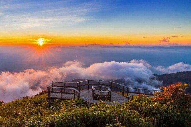 Doi Inthanon National Park 1-Day Tour Review - Is This Tour Right for You