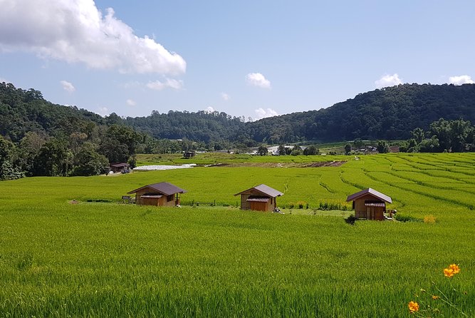 Doi Inthanon National Park Oneday Tour Review - Experience Highlights and Activities