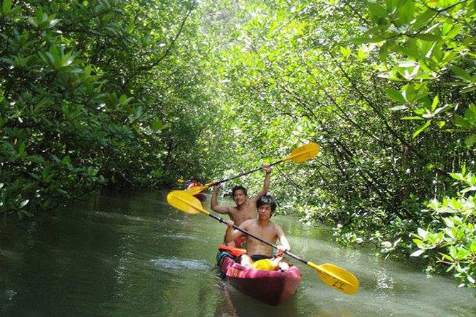 Full Day Kayaking at Ao Thalane Krabi - Reviews and Pricing Information