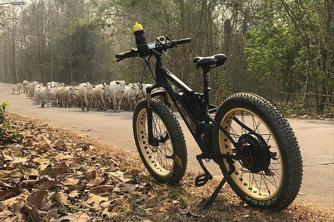 Half-Day Hilly E-Bike Adventure Review - Is This Tour Right for You