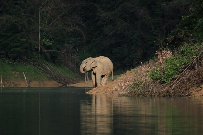 Khao Sok Wildlife 2 Days Review: Worth the Hype - Was It Worth the Hype?