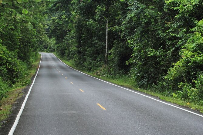 Khao Yai National Park Full-Day Tour Review - Is This Tour Right for You