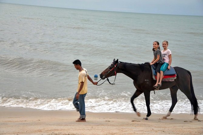 Krabi Horse Riding at Ao Nam Mao Beach Review - Cancellation and Refund Policy