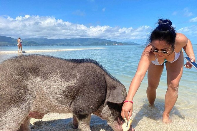 Pig Feeding, Kayaking, Snorkeling Trip at Pig Island By Speedboat From Koh Samui - Tips for Making the Most of Your Day