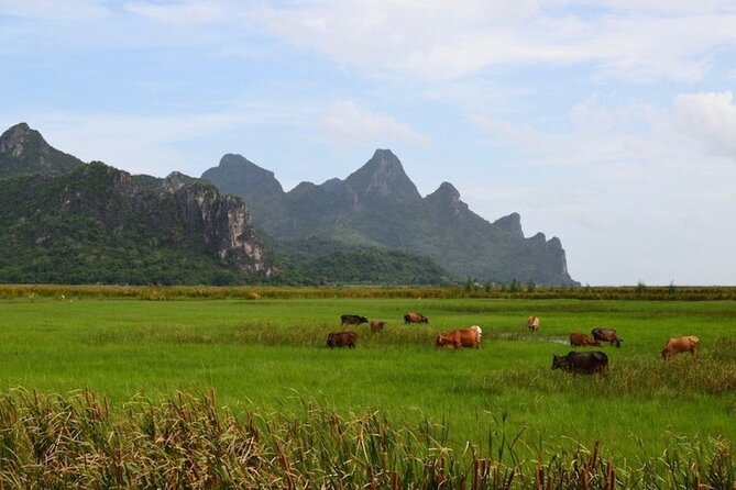 Sam Roi Yod National Park & Praya Nakhon Cave Review - Cancellation and Refund Policy