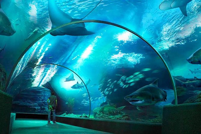 Sealife Bangkok + Madame Tussauds Bangkok - Tips for a Smooth Visit