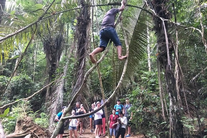 Small-Group Jungle Hiking Excursion Review: Worth the Hike - Booking and Cancellation Essentials