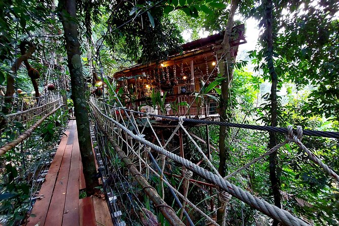 Tree Bridge Cafe Zipline Review: Jungle Flight Adventure - Experience Inclusions and Extras