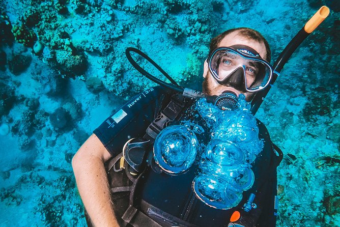 Try Scuba Diving Review: An Honest Experience - Value for Money and Pricing