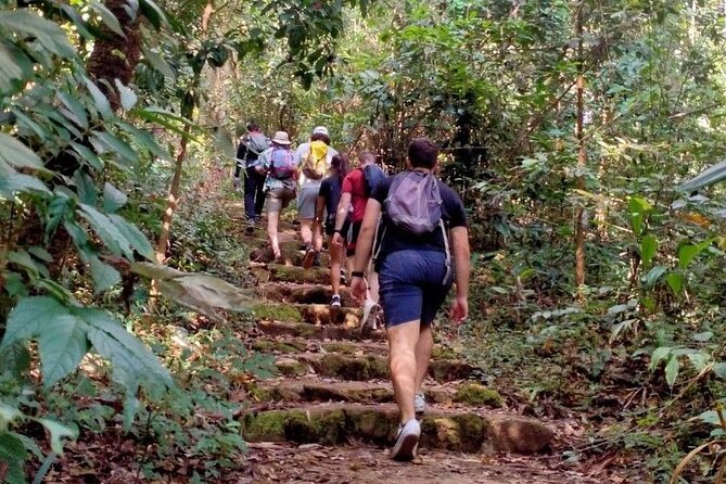 6-Hour Doi Pui Summit Hike in Doi Suthep National Park From Chiang Mai - Recap