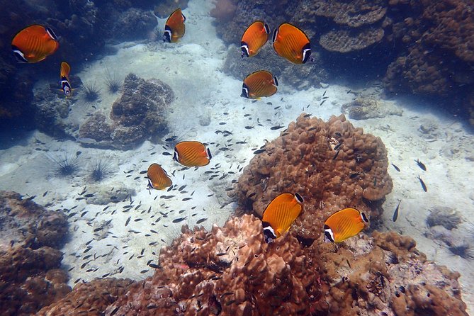 Ang Thong Marine Park Semi-Private Sunset Tour Review - Tour Highlights and Impressions