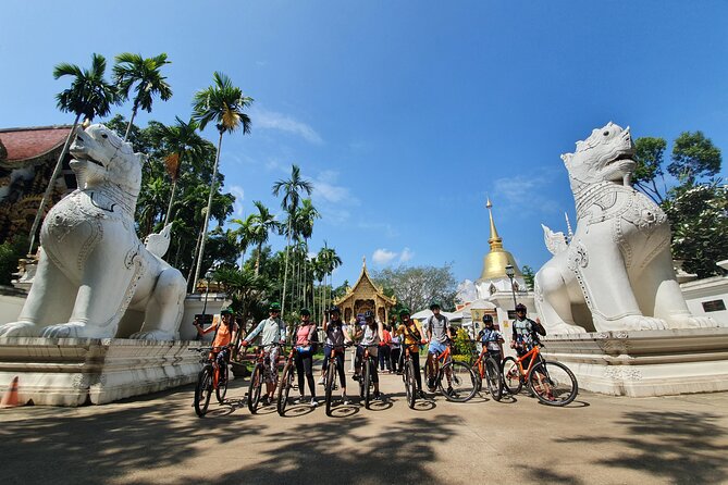 FIELDS OF GOLD Mountain Biking Tour Chiang Mai - Recap