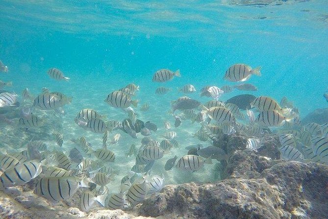 Full-Day Racha Noi and Racha Yai Snorkeling Review - Recap