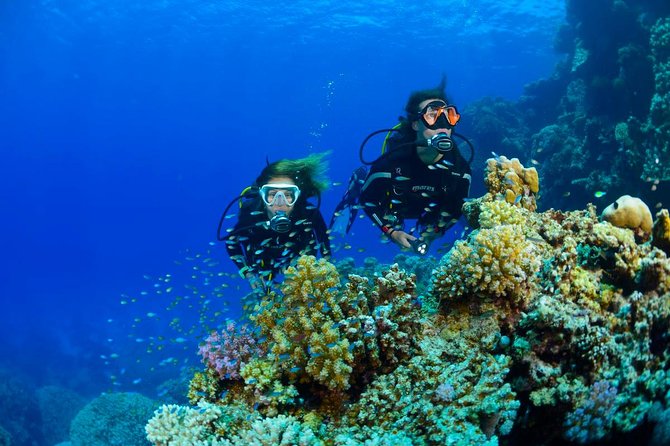 Full-Day Racha Yai Private Scuba Diving Course Review - Recap