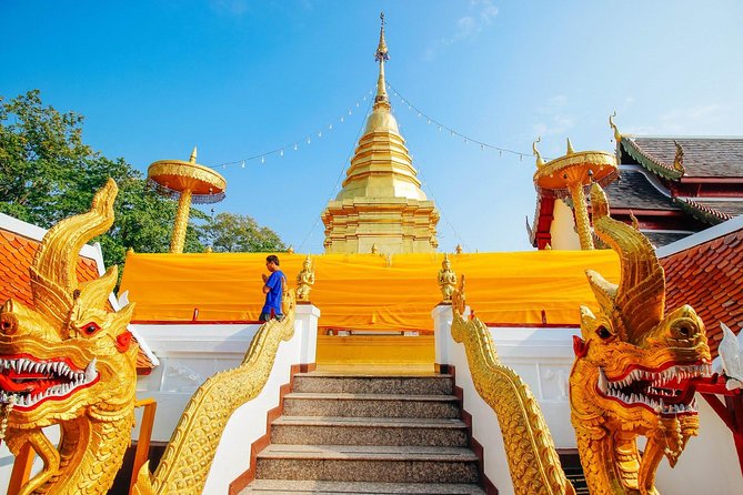 Half Day Phra That Doi Kham Temple and Royal Park Rajapruek (Private Tour) - Recap