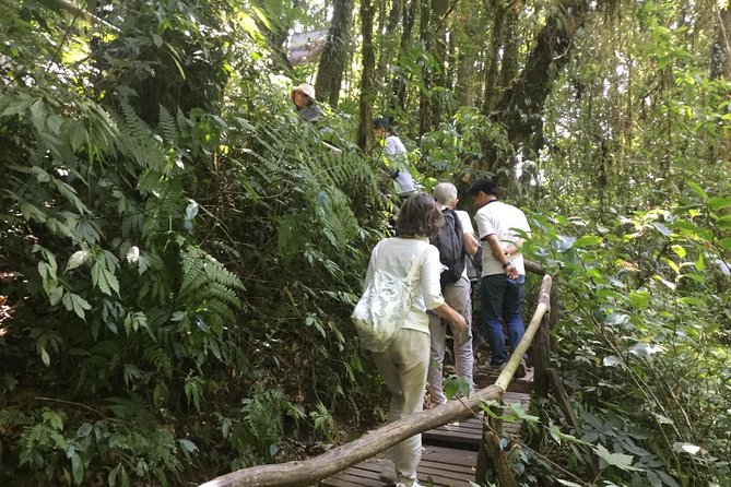 Inthanon Small-Group With Kew Mae Pan Trail From Chiang Mai Include Lunch - Recap