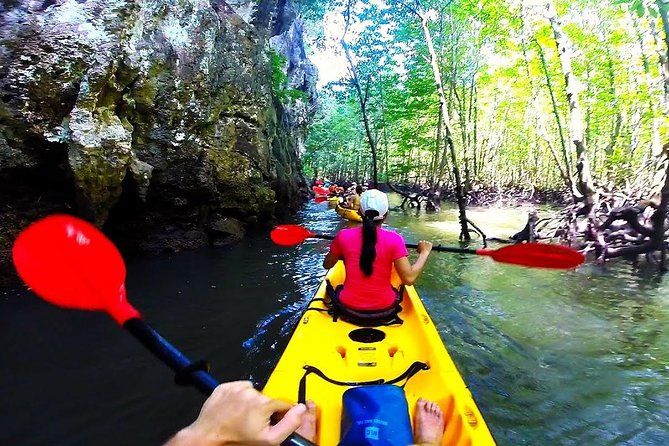 Kayaking in Ao Thalane - Discover the Mangrove Life - Recap