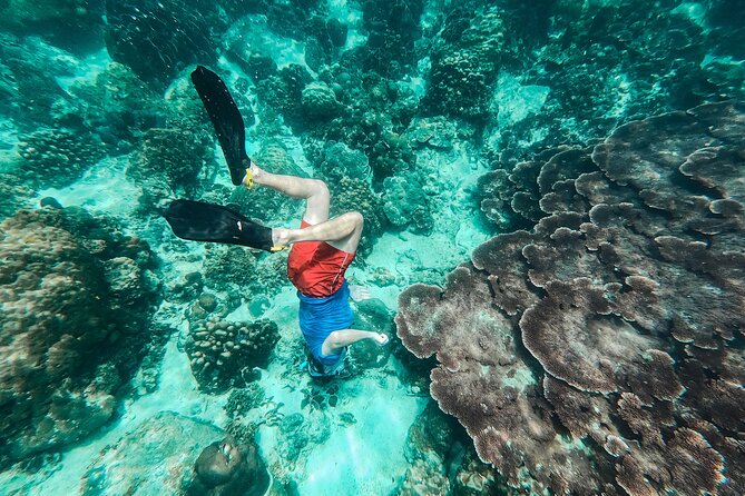 Koh Tao VIP Snorkelling Tour Review: Is It Worth It - Is This Tour Right for You