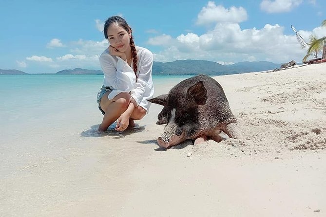 Pig Island Snorkeling Tour Review: Worth the Ride - Final Thoughts on the Experience