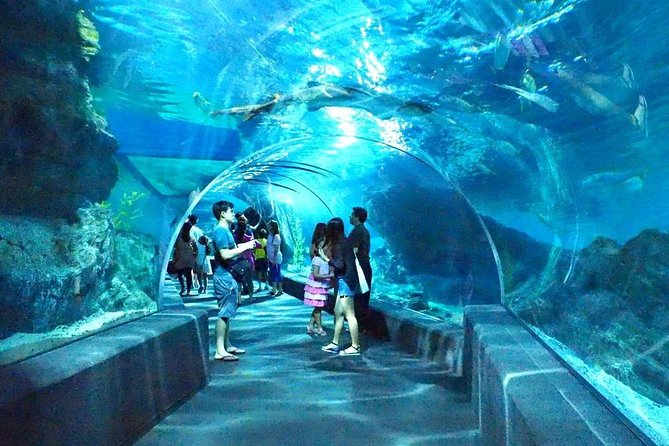 Sealife Bangkok + Madame Tussauds Bangkok - Book Your Ticket Now