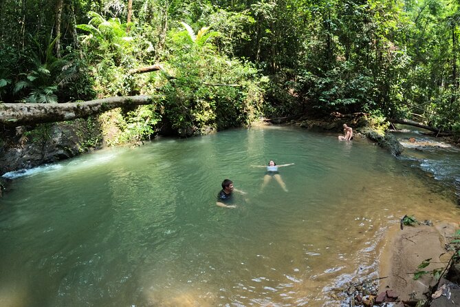 Small-Group Jungle Hiking Excursion Review: Worth the Hike - Recap