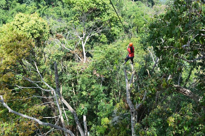 Zipline Adventure at Skyline Jungle Luge Chiang Mai - Recap