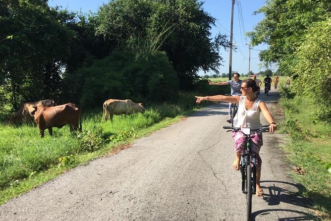 Full Day Cycling Tour to Sukhothai Review - Recap