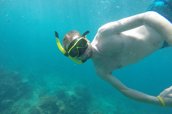Phi Phi Islands Adventure Day Trip Review - Recap