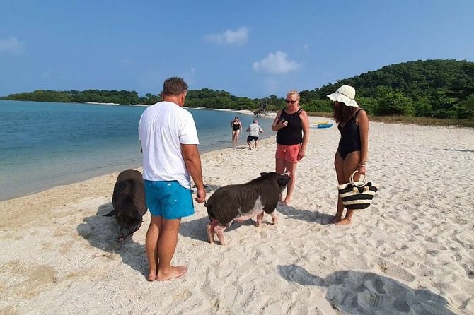 Pig Island Snorkeling Tour Review: Worth the Ride - Recap