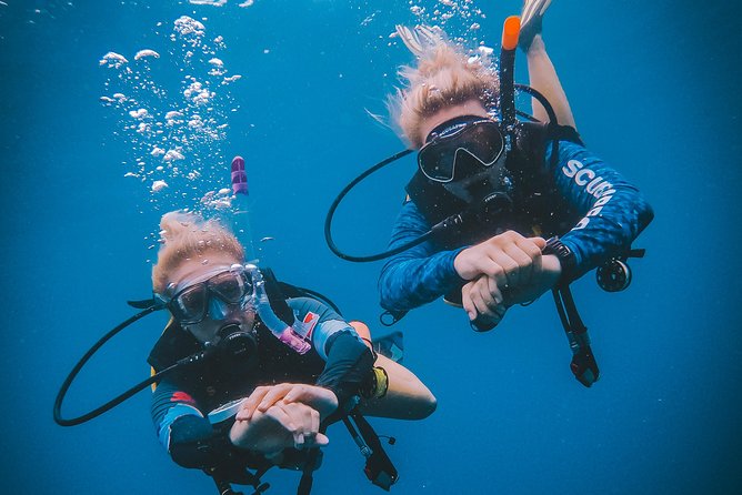 Try Scuba Diving Review: An Honest Experience - Recap