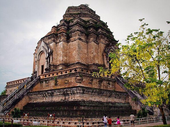 Chiang Mai City Culture Half-Day Cycling Tour - Tour Highlights and Overview