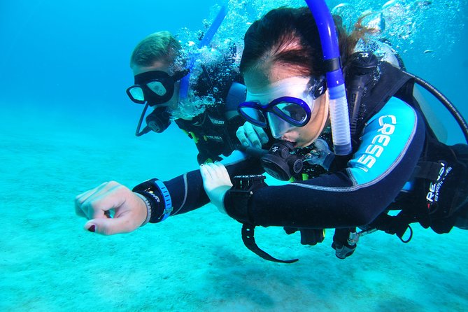 Continue Your Education With the Advanced Open Water Diver Course - 2 Days - Course Overview and Objectives