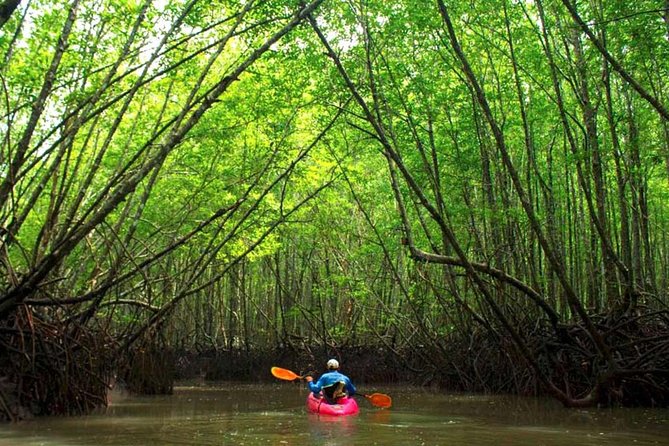 Deep Mangrove and Canyon Kayak Tour in Krabi Review - Key Takeaways