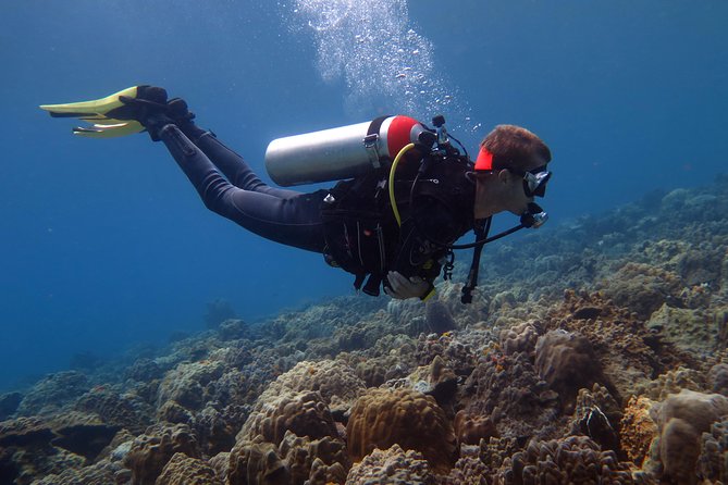 Discover Scuba Diving Review: A Beginner's Experience - Key Takeaways