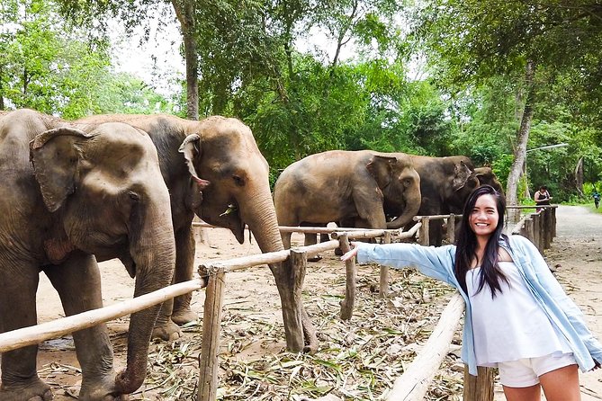 Elephant Haven Kanchanaburi Review: a Day With Giants - Key Takeaways