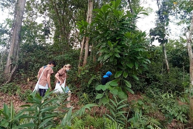 Elephant Sanctuary Small Group Tour in Phuket Review - Key Takeaways