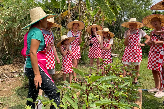 Half-Day Thai Cooking Class at Organic Farm Review - Key Takeaways