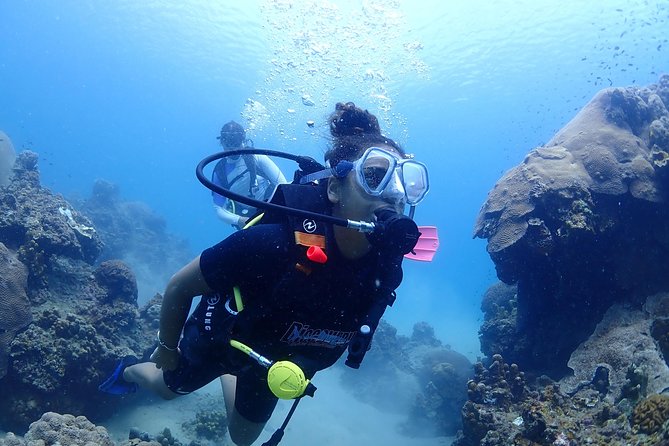 Introductory Dive for Non-Certified Divers - Discover Scuba Diving Basics