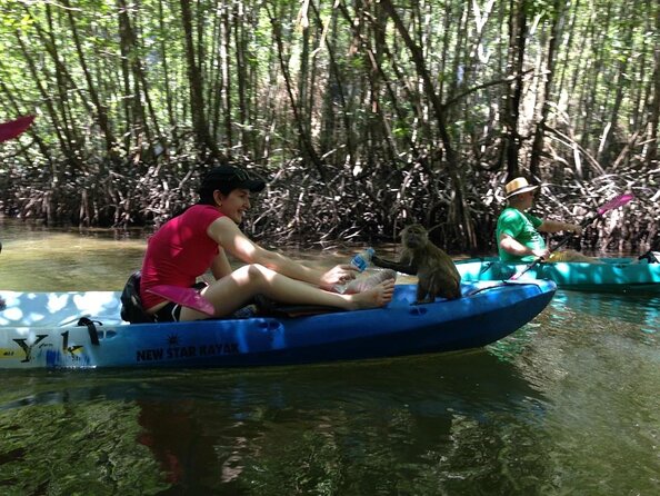 Kayaking in Ao Thalane - Discover the Mangrove Life - Exploring Ao Thalanes Hidden Gems