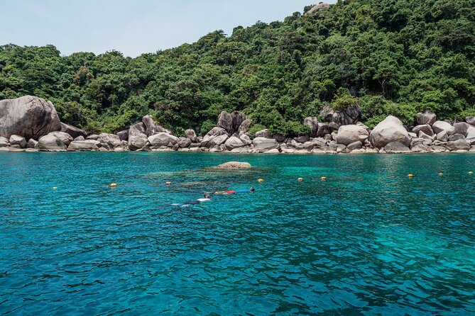 Koh Tao VIP Snorkelling Tour Review: Is It Worth It - Key Takeaways