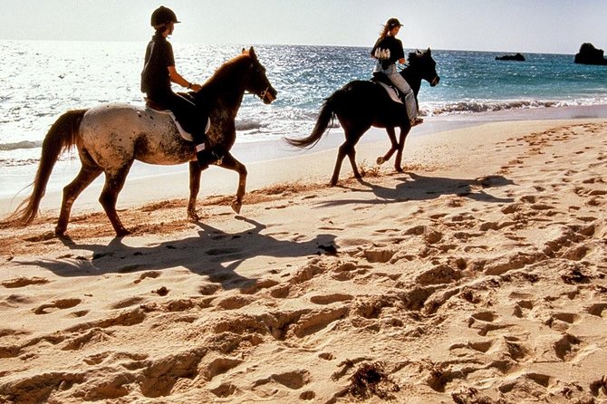 Krabi Horse Riding at Ao Nam Mao Beach Review - Key Takeaways