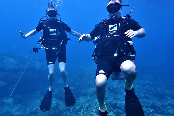 PADI Discover Scuba Dive Experience Review - Key Takeaways