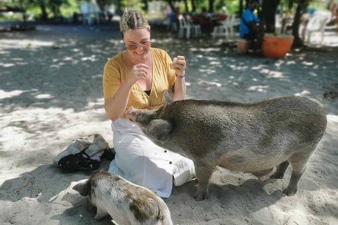 Pig Island Day Trip From Koh Samui Review - Key Takeaways