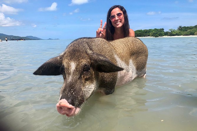 Pigs Island Exclusive Semi VIP - Tour Highlights and Inclusions