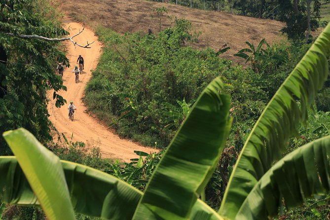 Rural Explorer Mountain Biking Tour Chiang Mai Review - Key Takeaways