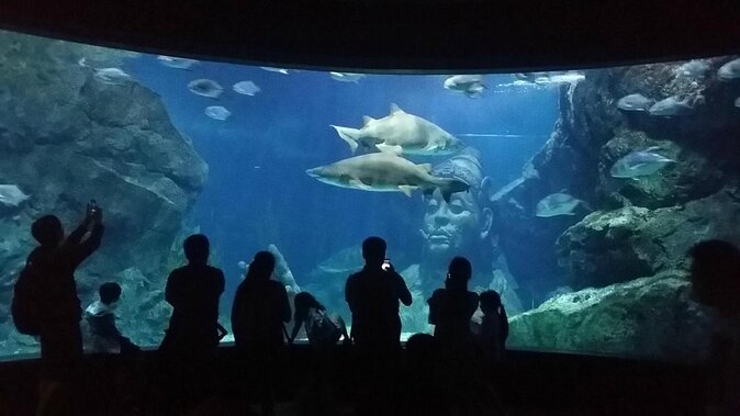 Sea Life Bangkok Ocean World Tickets Review - Key Takeaways