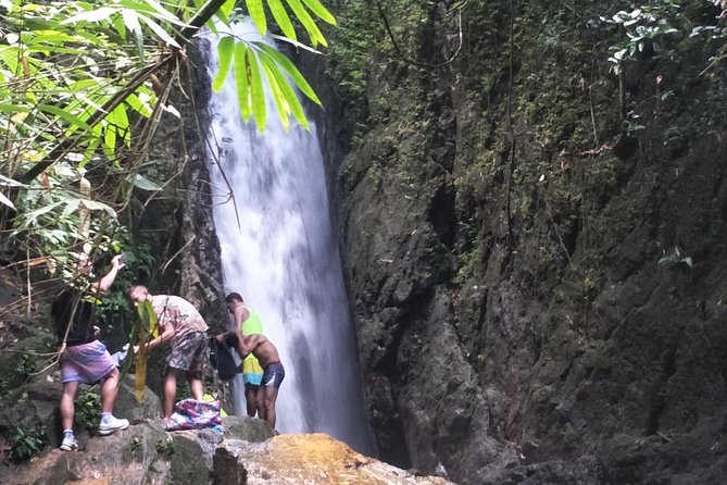 Small-Group Jungle Hiking Excursion Review: Worth the Hike - Key Takeaways